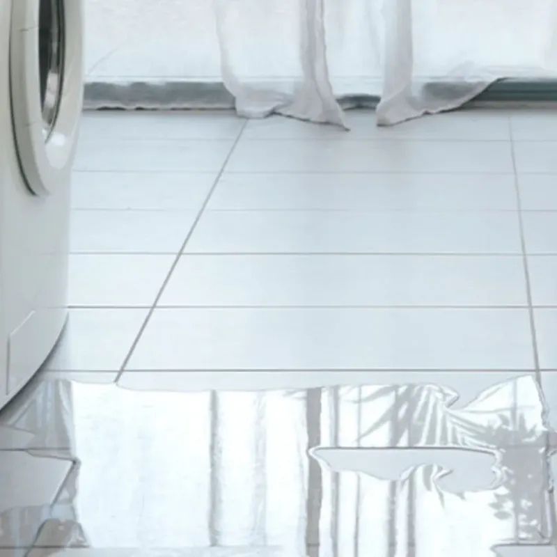 Appliance Leak Cleanup in Wasco, IL