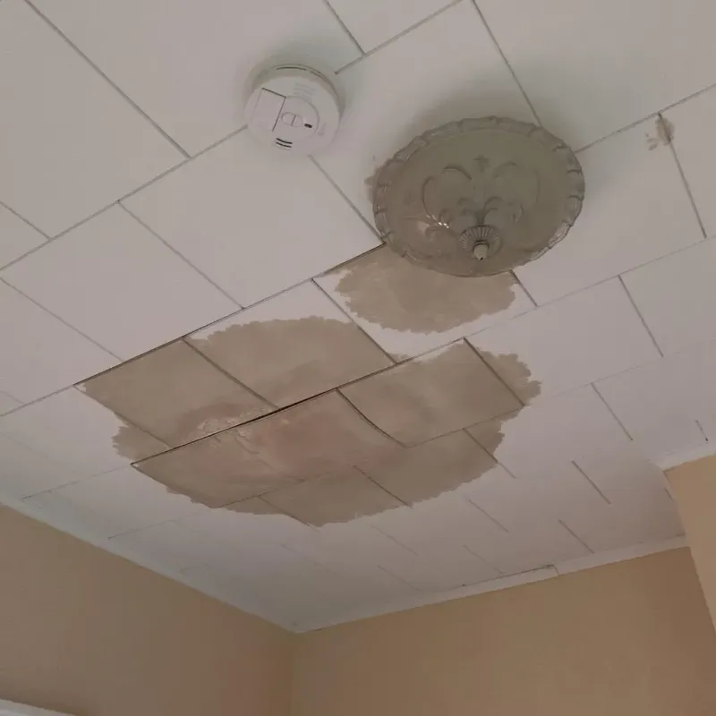 Ceiling Water Damage Repair in Wasco, IL