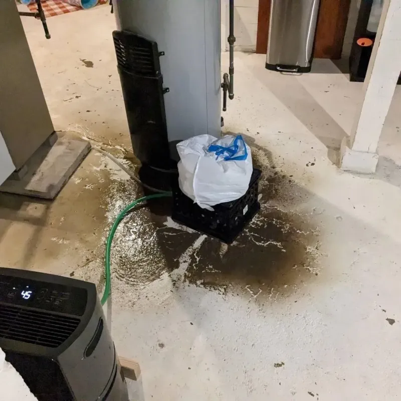Sewage Backup Cleanup Service in Wasco, IL
